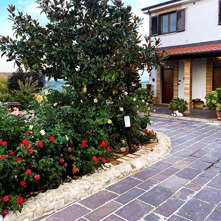 La Vigna Di Ranco Agriturismo Paglieta 外观 照片